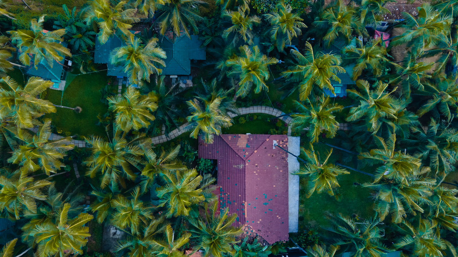 DJI_0018 (1)